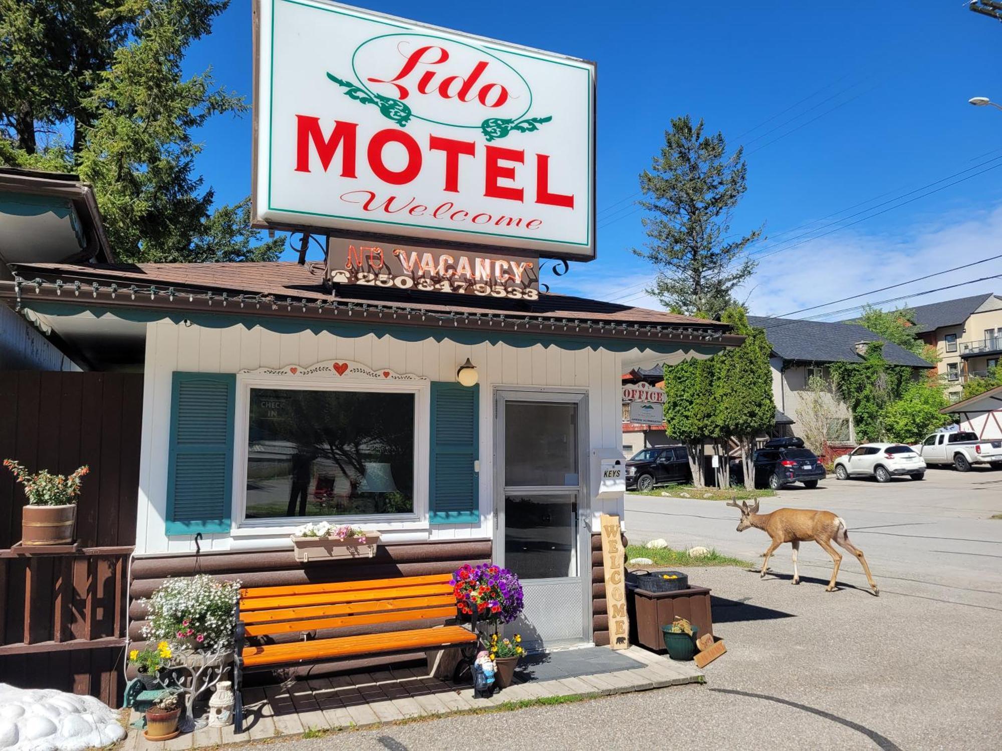 Lido Motel Radium Hot Springs Exteriör bild