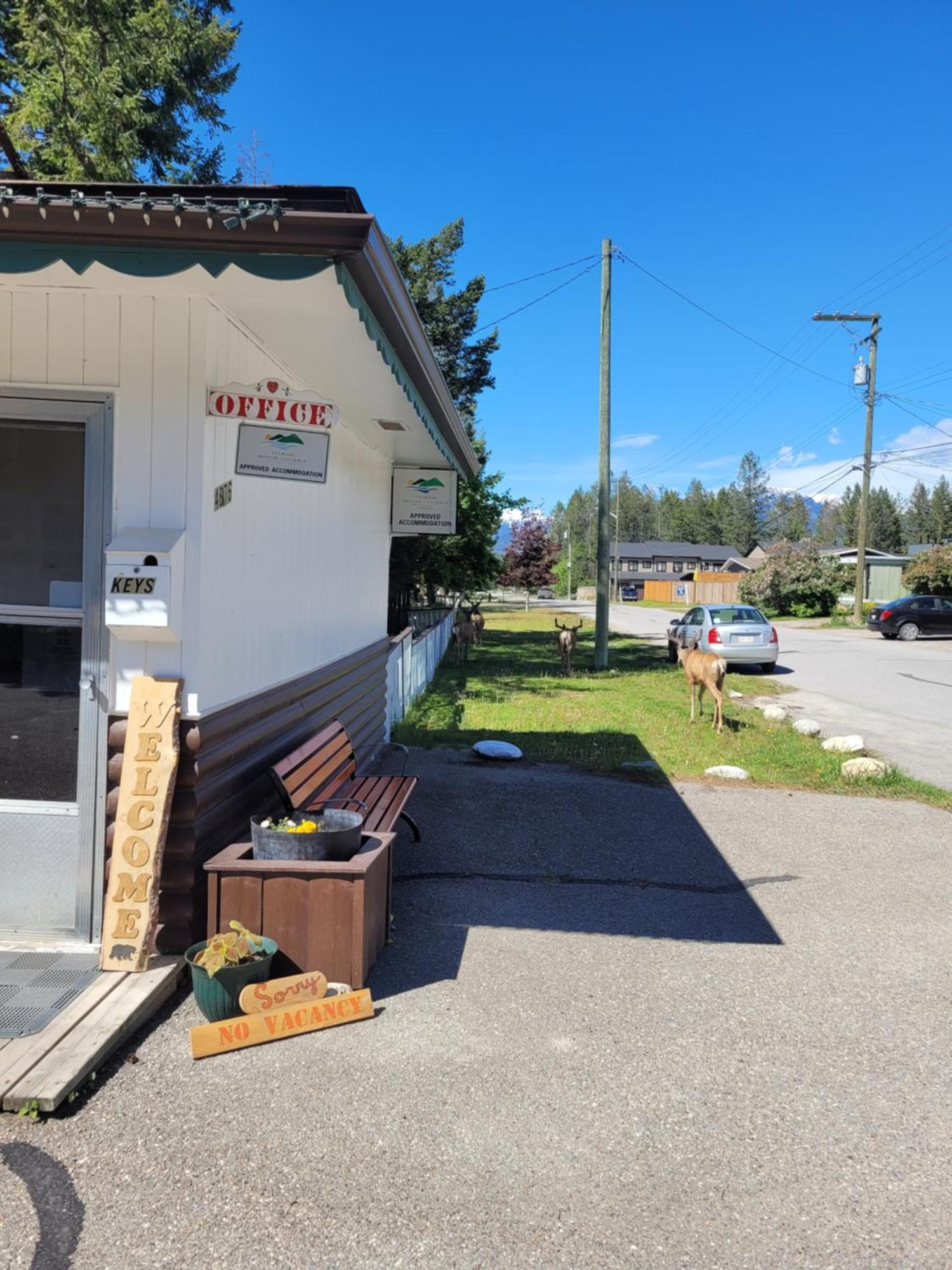 Lido Motel Radium Hot Springs Exteriör bild